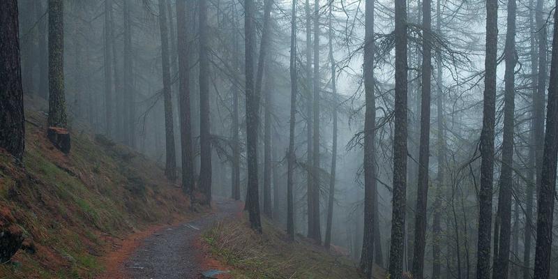 BIM技术赋能绿色建筑：施工阶段碳排放精细化管理与环境解决方案