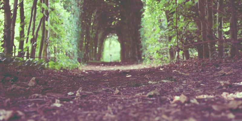 MABR与电催化技术革新废弃物处理：广东万绿达的技术咨询视角