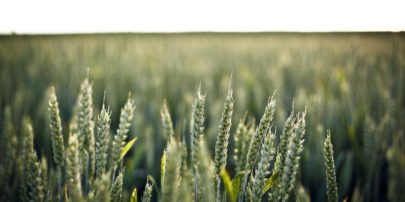 VOCs废气治理技术在化工行业的应用难点与突破——以广东万绿达环保工程实践为例