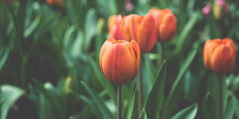 从摇篮到坟墓：基于生命周期评价的环保工程材料选择与环境效益深度分析