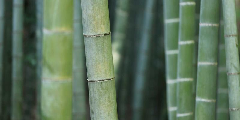 噪声污染控制工程全解析：从源头降噪到传播路径治理的环保解决方案