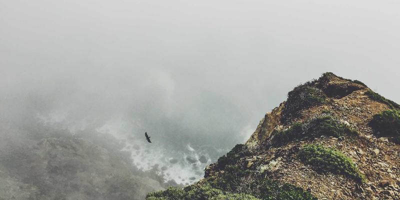 广东万绿达引领变革：污染治理与废弃物处理的投融资模式创新与绿色金融工具应用