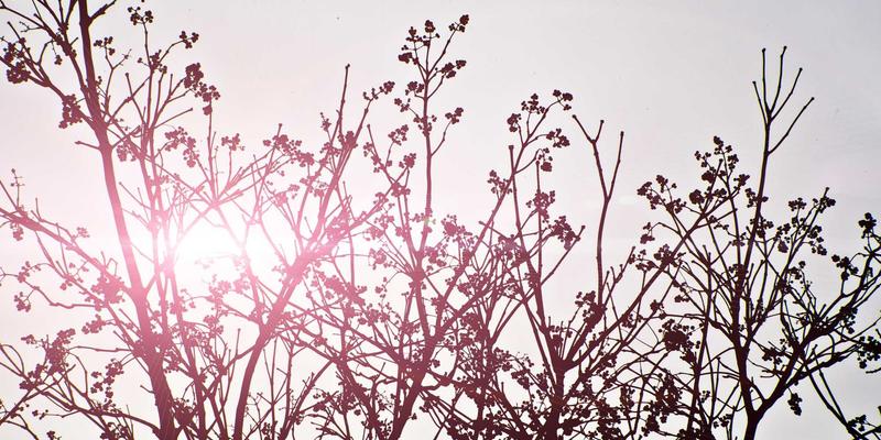 构筑绿色屏障：废弃物处理中防渗系统设计与施工质量控制关键点解析