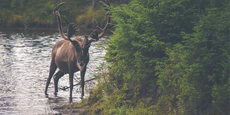 烟气脱硫脱硝一体化设备运行维护要点解析 | 广东万绿达技术咨询