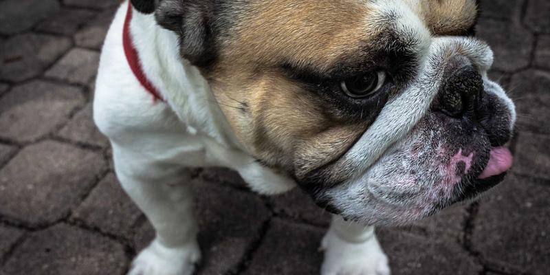 环保工程3.0时代：技术咨询如何驱动创新环境解决方案与精准污染治理