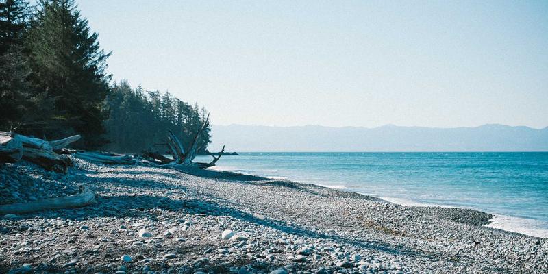 环保工程42：技术咨询如何驱动环境解决方案的创新与实践