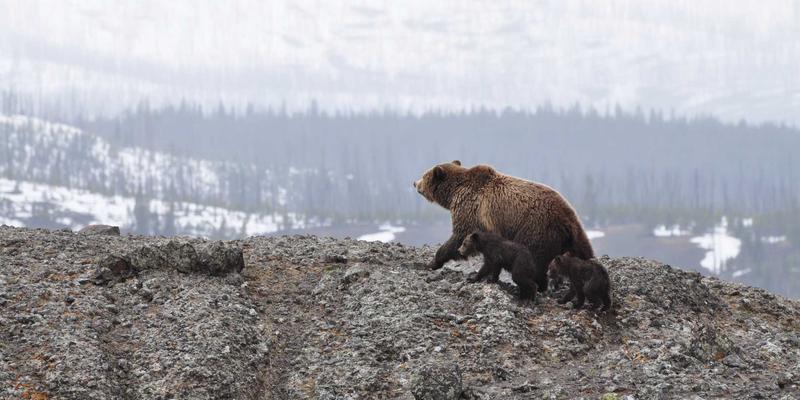 环保工程78：技术咨询如何驱动废弃物处理创新——以广东万绿达为例
