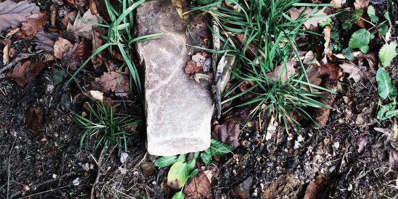 环保工程79：技术咨询如何驱动废弃物处理与污染治理的创新发展