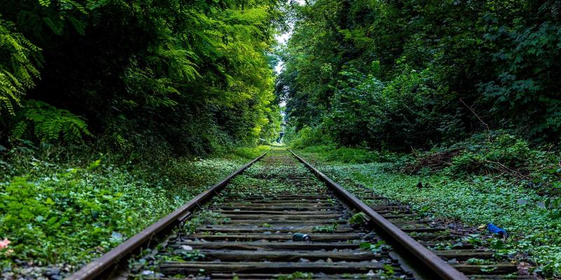 环保工程99：技术咨询如何驱动绿色转型——以广东万绿达为例