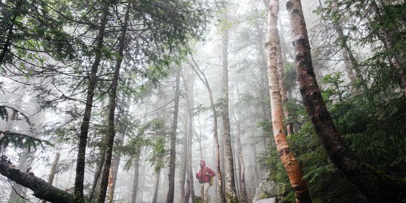 环保工程新材料研发与应用趋势：以膜材料与催化剂引领污染治理新篇章