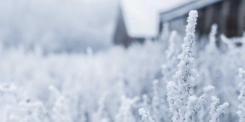 环保工程新标杆：解析广东万绿达如何以创新环境解决方案引领行业变革