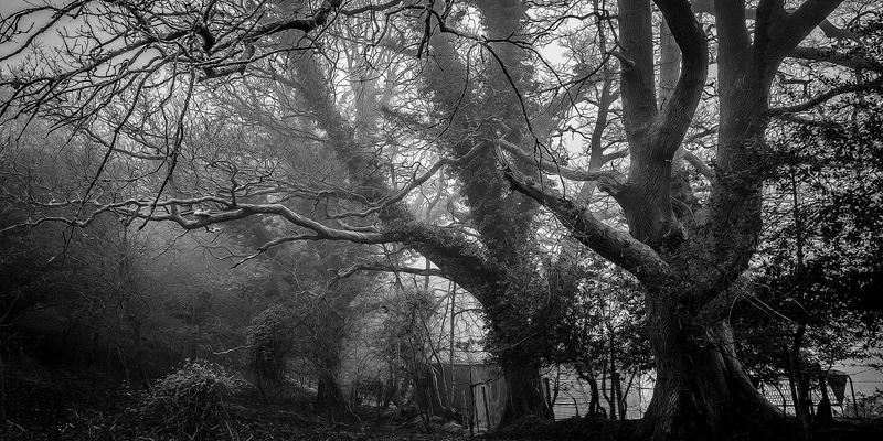 环保工程新篇章：技术咨询如何驱动产业升级——以广东万绿达为例