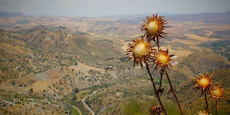 环保工程竣工验收核心要点：从技术规范到废弃物处理运营的平稳过渡