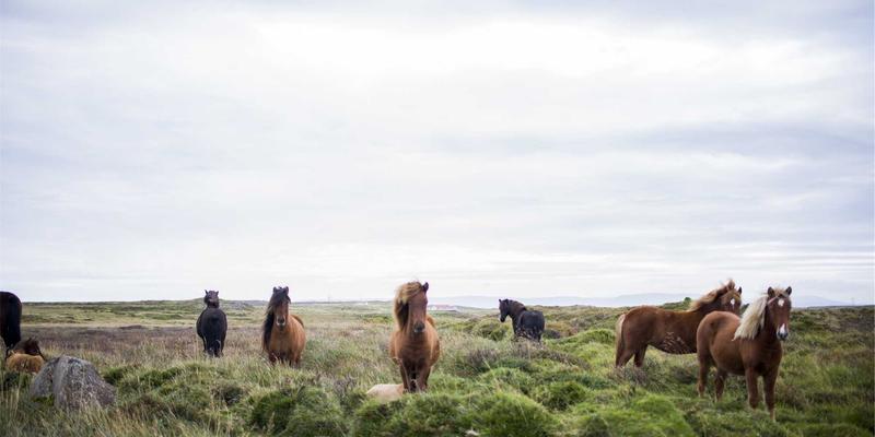 环保工程设备选型新趋势：国产化替代浪潮下的核心部件可靠性深度解析 | 广东万绿达技术咨询