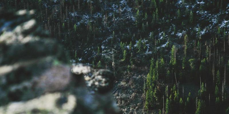 环保工程项目全生命周期成本分析：以广东万绿达废弃物处理为例的环境解决方案优化