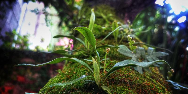 碳中和目标下CCUS技术在环保工程中的集成应用前景：以万绿达为例的环境解决方案