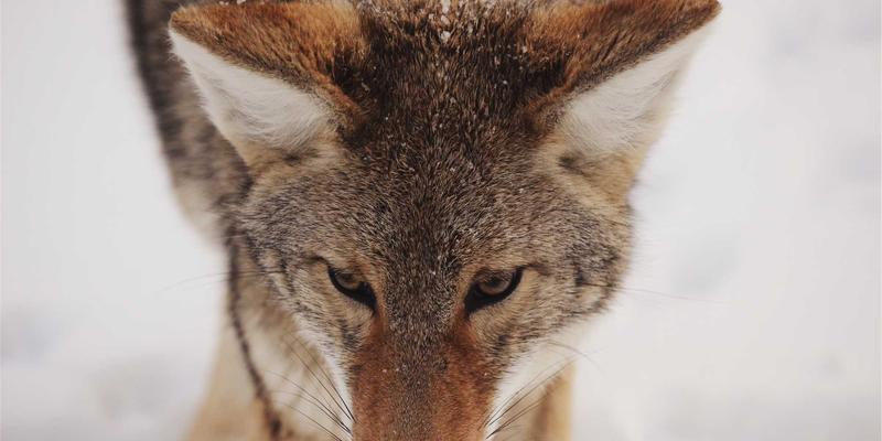 筑牢安全防线：突发环境事件应急工程体系建设与实战演练——以广东万绿达技术咨询实践为例