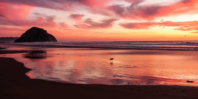 筑牢生态防线：危险废物规范化管理与处置工程的关键环节解析